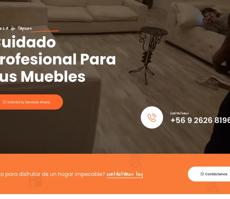 Screenshot 2025-03-03 at 12-04-27 Limpieza de Tapices - Soluciones a Domicilio